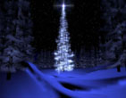 Christmas Wallpapers 232